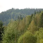 Zolota Pidkova & River Chalet Slavsko