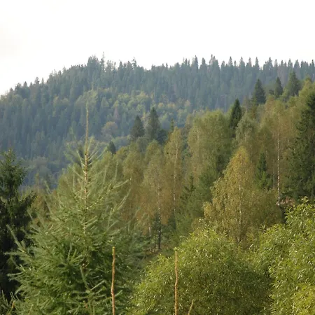 Zolota Pidkova & River Chalet Slavske