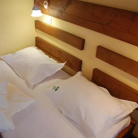 Zolota Pidkova & River *