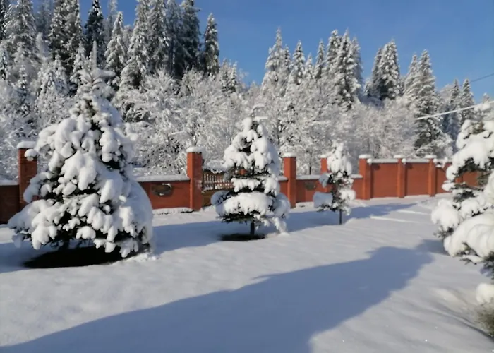Zolota Pidkova & River Chalet *