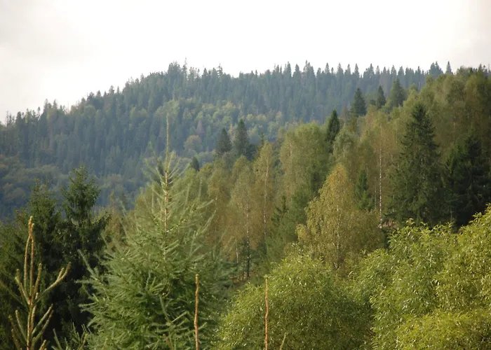 Zolota Pidkova & River Alpesi faház Szlavszke