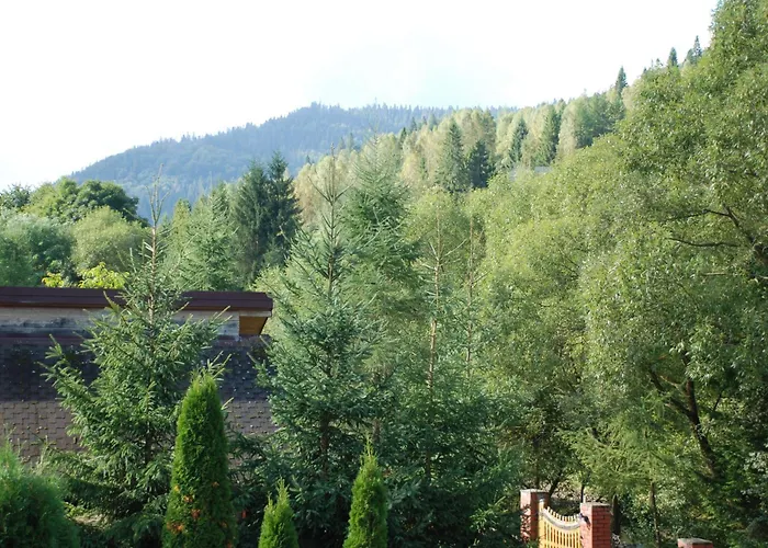 Alpesi faház Zolota Pidkova & River Szlavszke